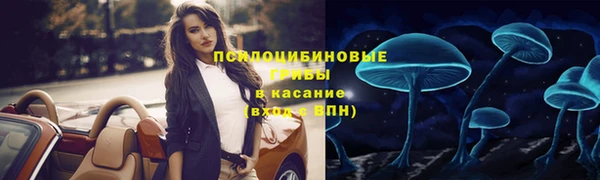 бошки Абаза
