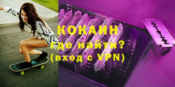 бошки Алексин