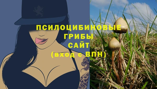бошки Алексин